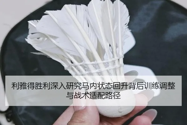 利雅得胜利深入研究马内状态回升背后训练调整与战术适配路径