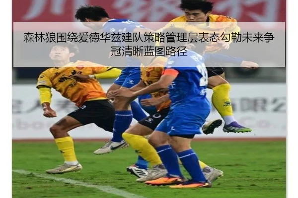 森林狼围绕爱德华兹建队策略管理层表态勾勒未来争冠清晰蓝图路径